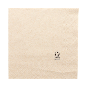 2-ply towel